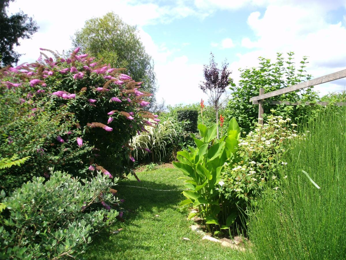 Le Bord De L'Eau Bed & Breakfast Sainte-Terre Dış mekan fotoğraf