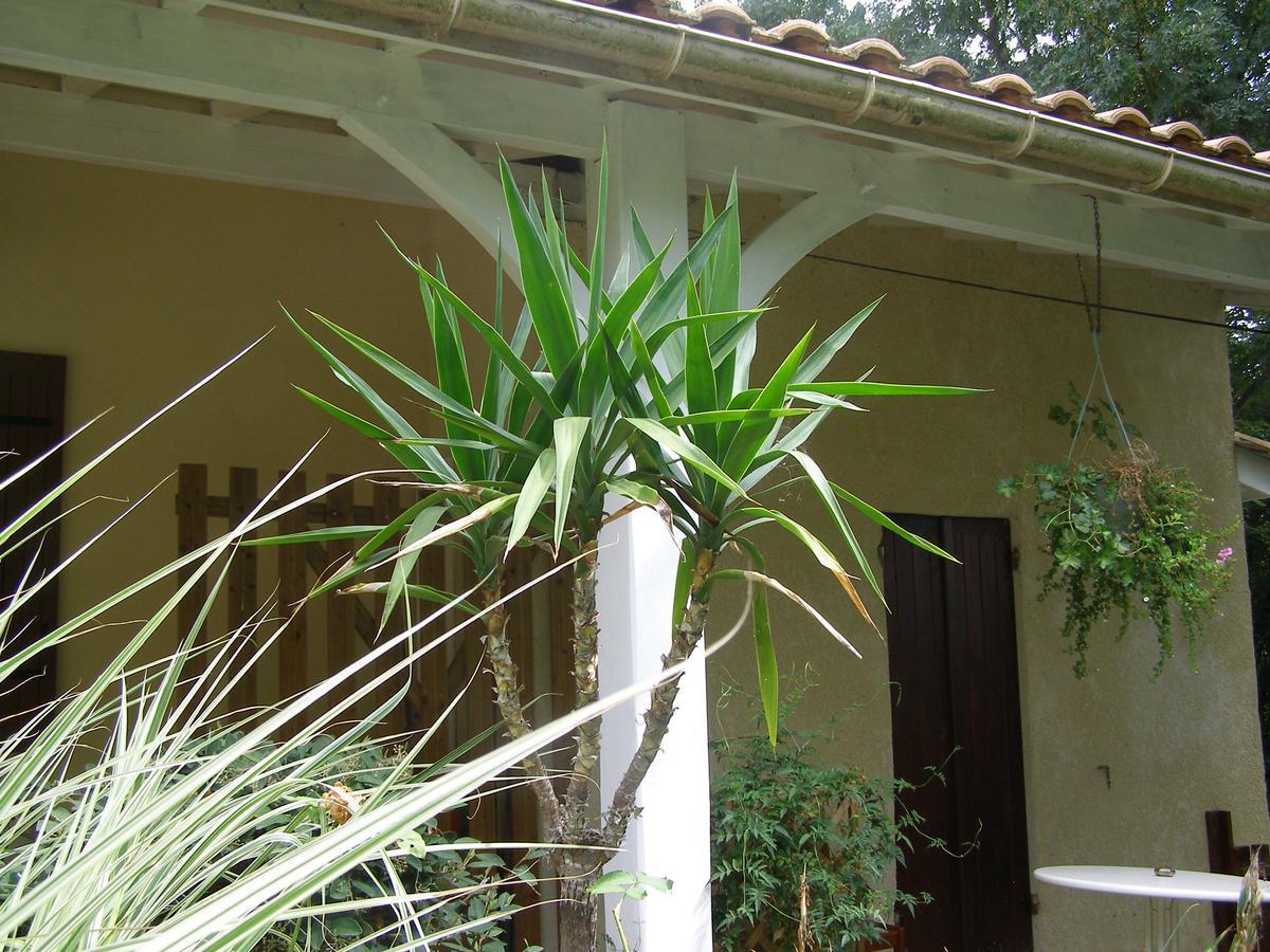 Le Bord De L'Eau Bed & Breakfast Sainte-Terre Dış mekan fotoğraf