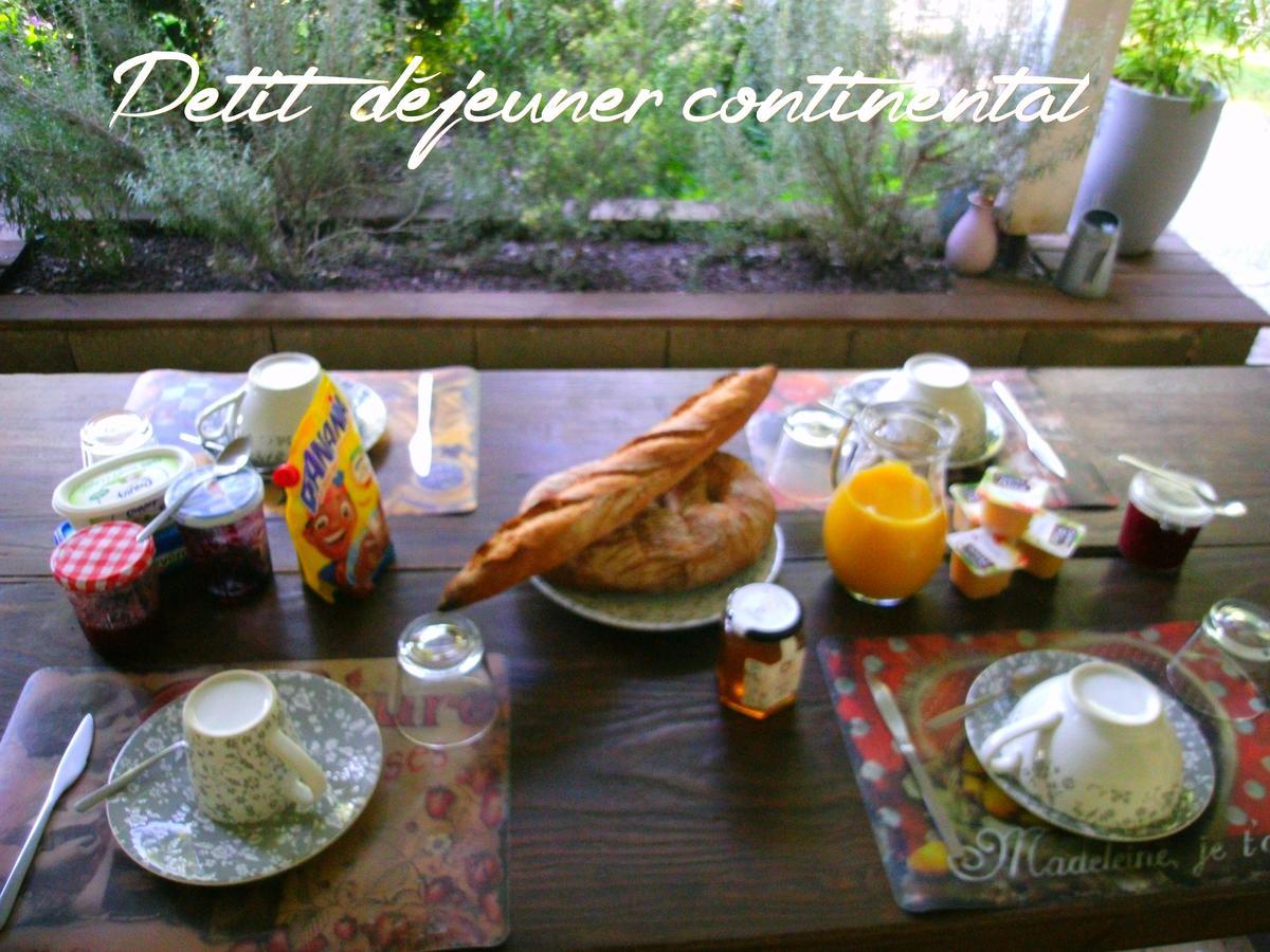 Le Bord De L'Eau Bed & Breakfast Sainte-Terre Dış mekan fotoğraf